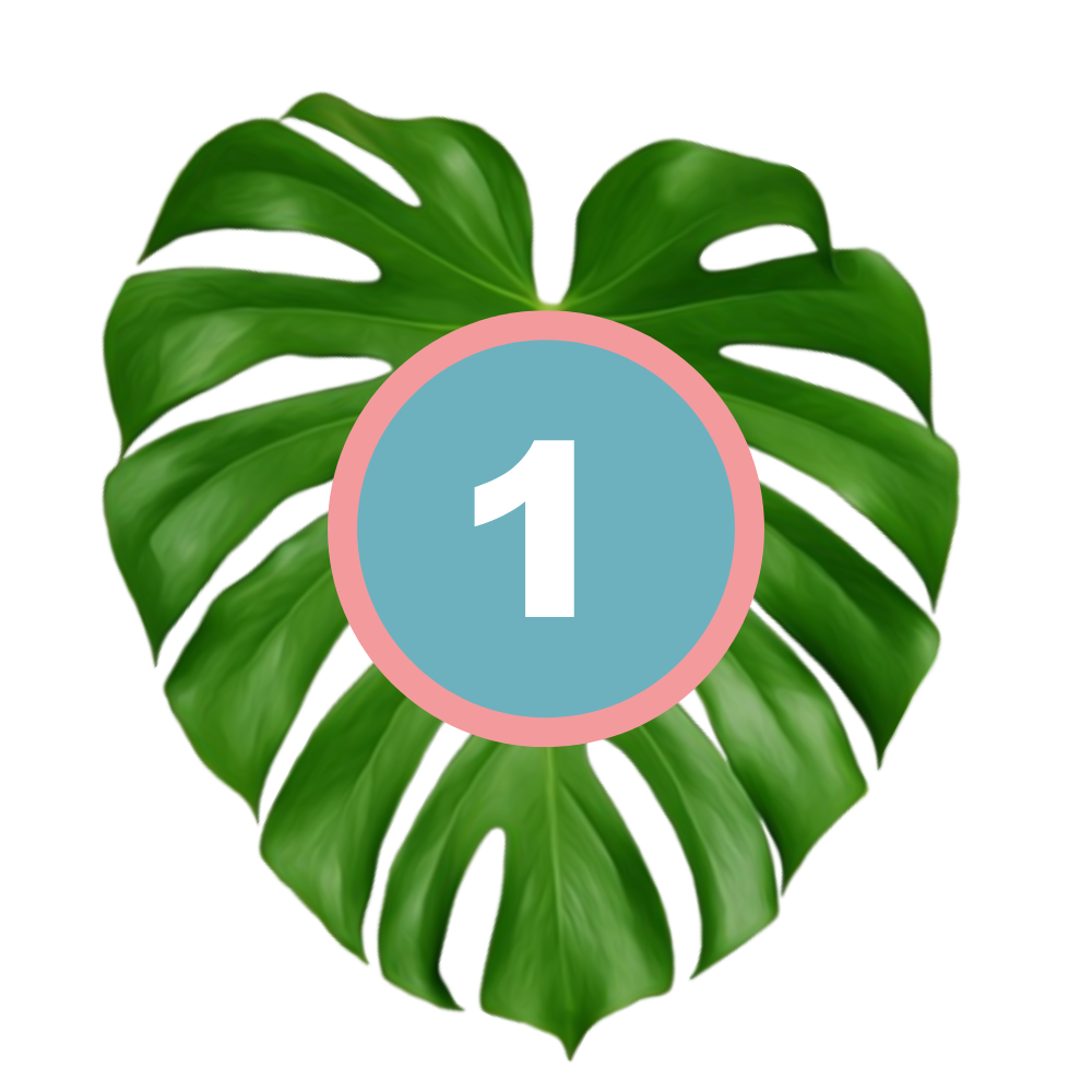 1 PHASE ONE with picture of leaf