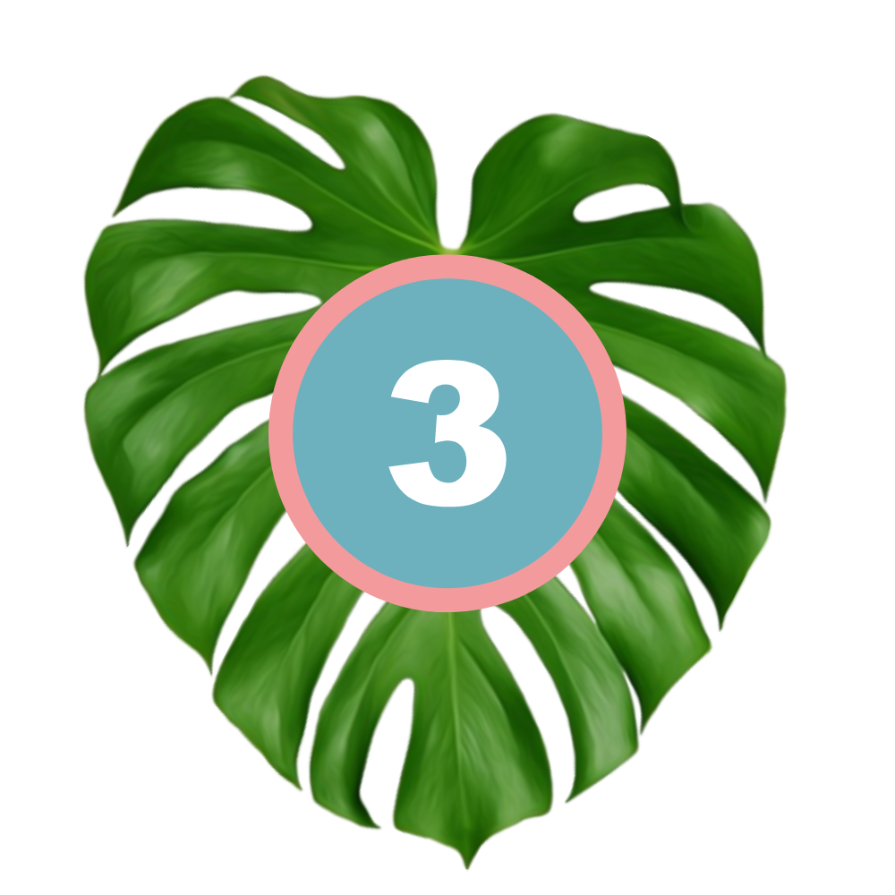 3 PHASE three with picture of leaf